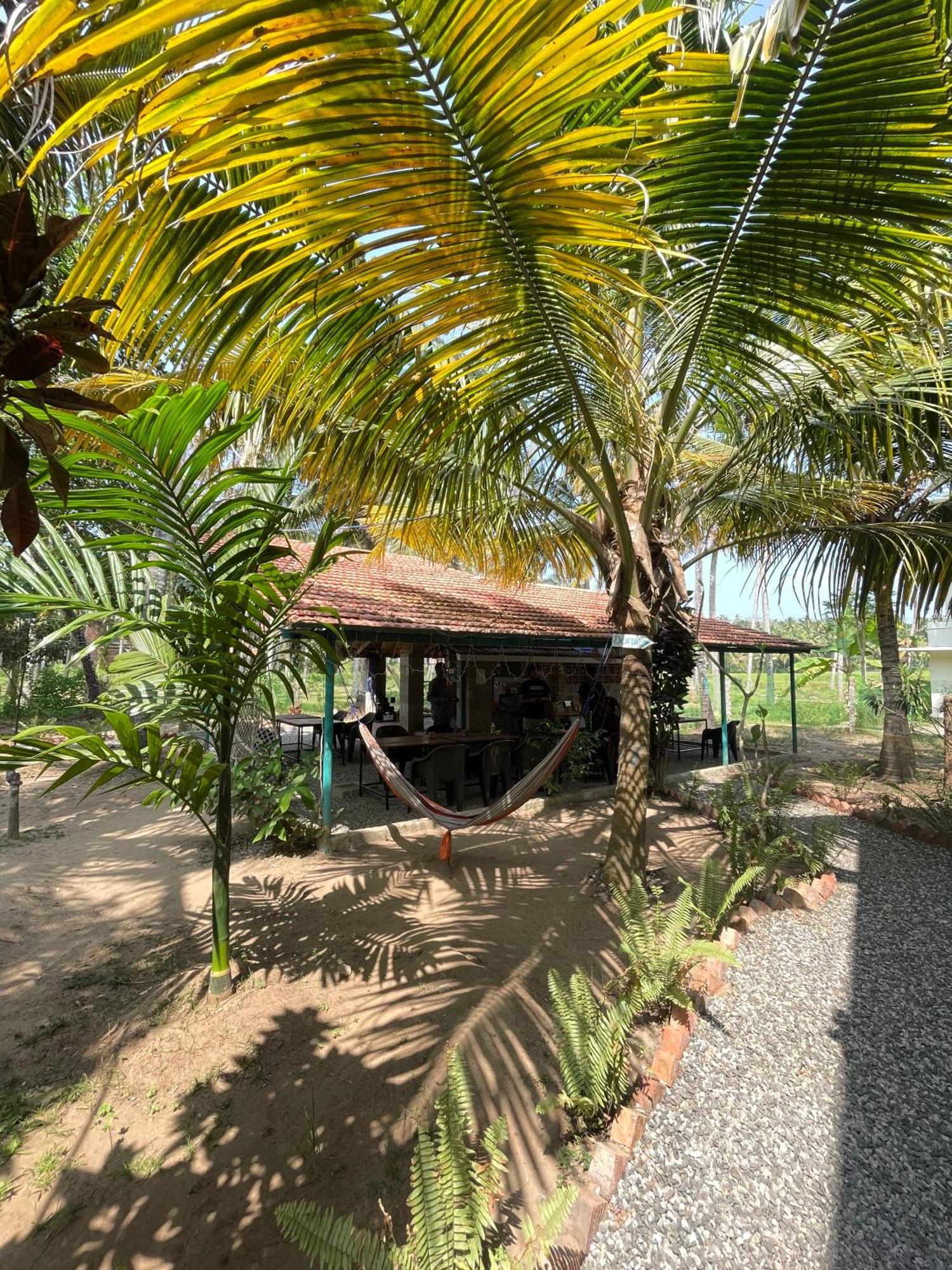 Cliff & Coral Hostel Varkala Bagian luar foto