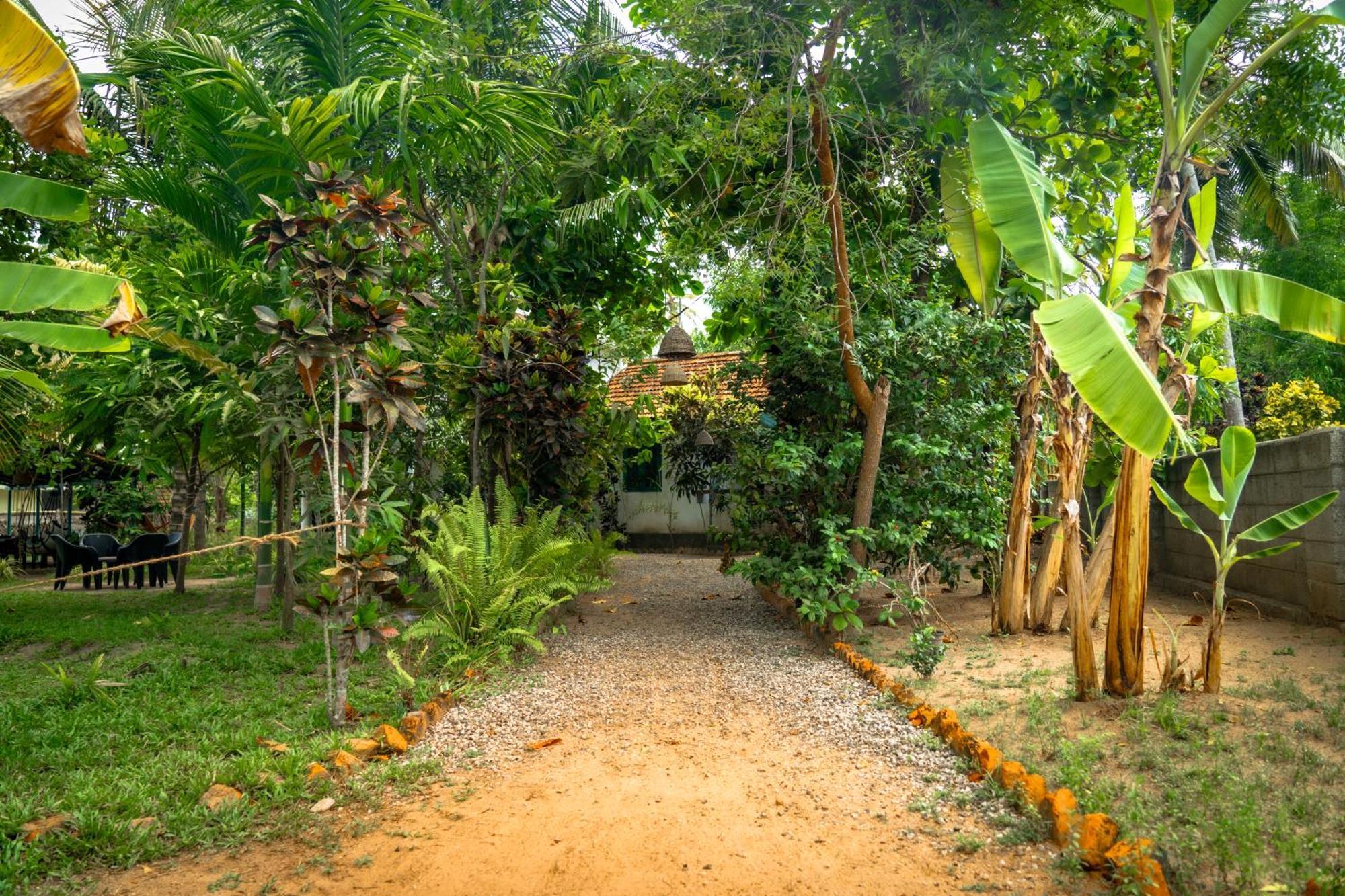 Cliff & Coral Hostel Varkala Bagian luar foto